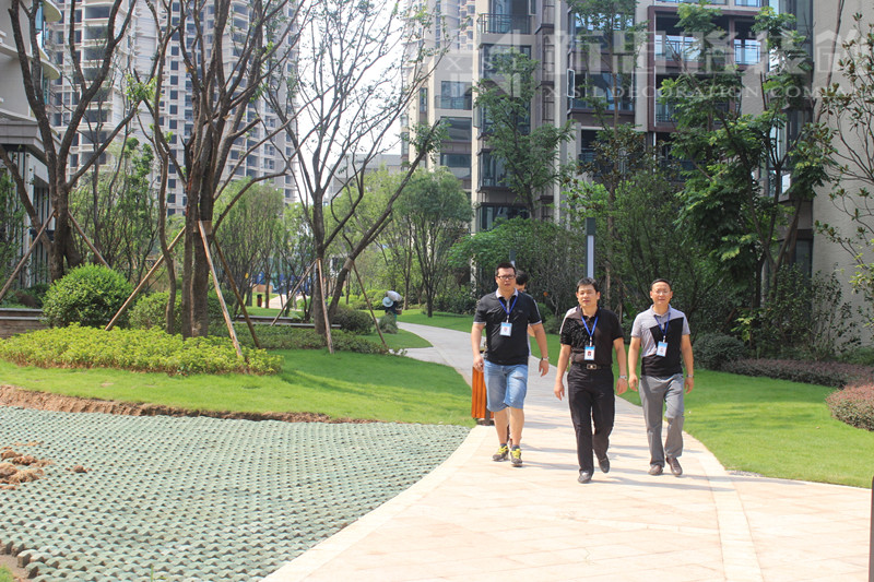 ANBO.COM“8.12工地大巡查”纪实